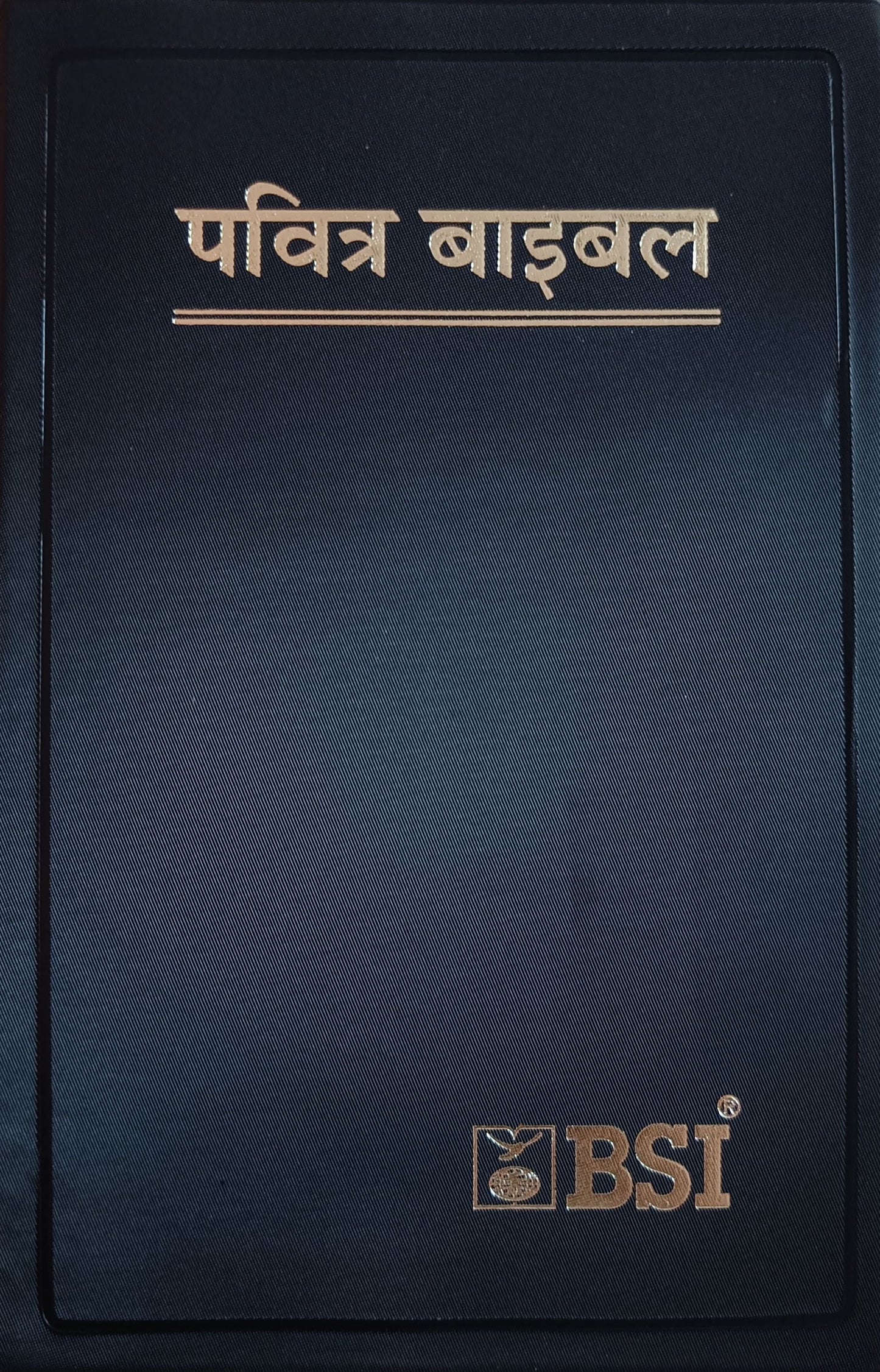 HINDI BIBLE