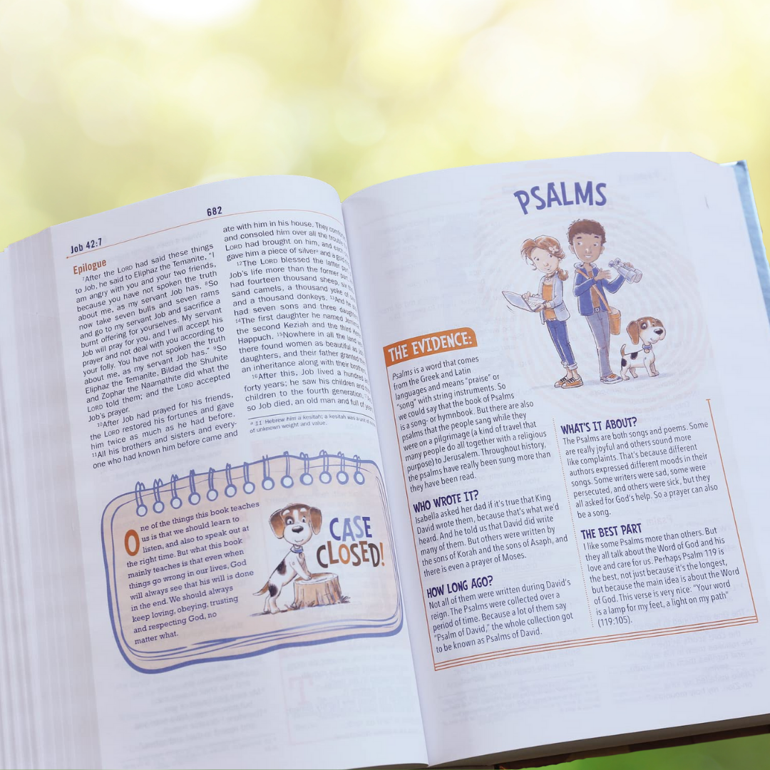 NIV INVESTIGATOR'S HOLY BIBLE