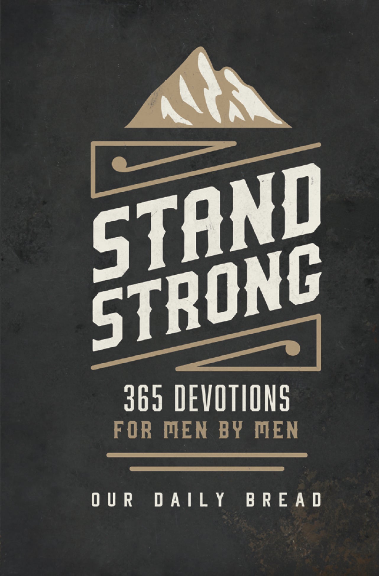 Stand Strong: 365 Devotions for Men by Men