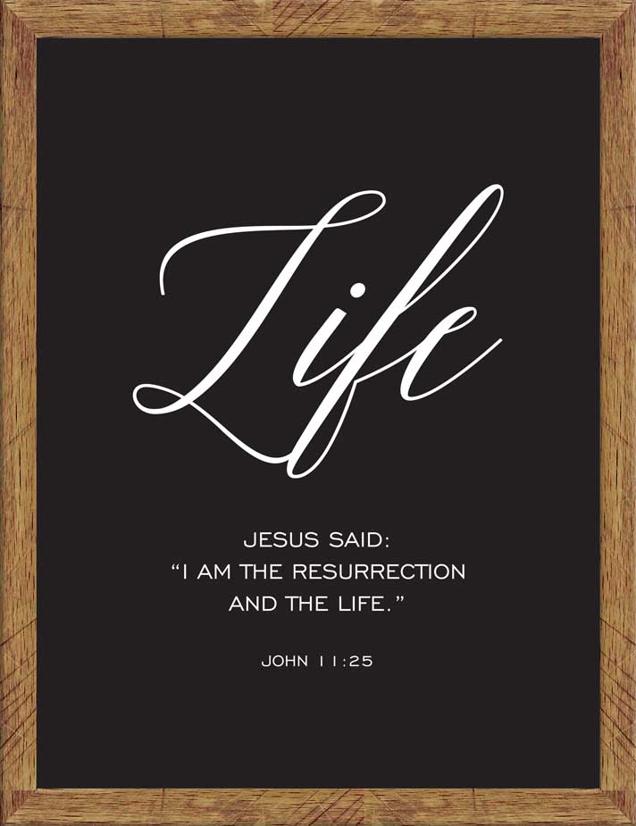 I am the Life