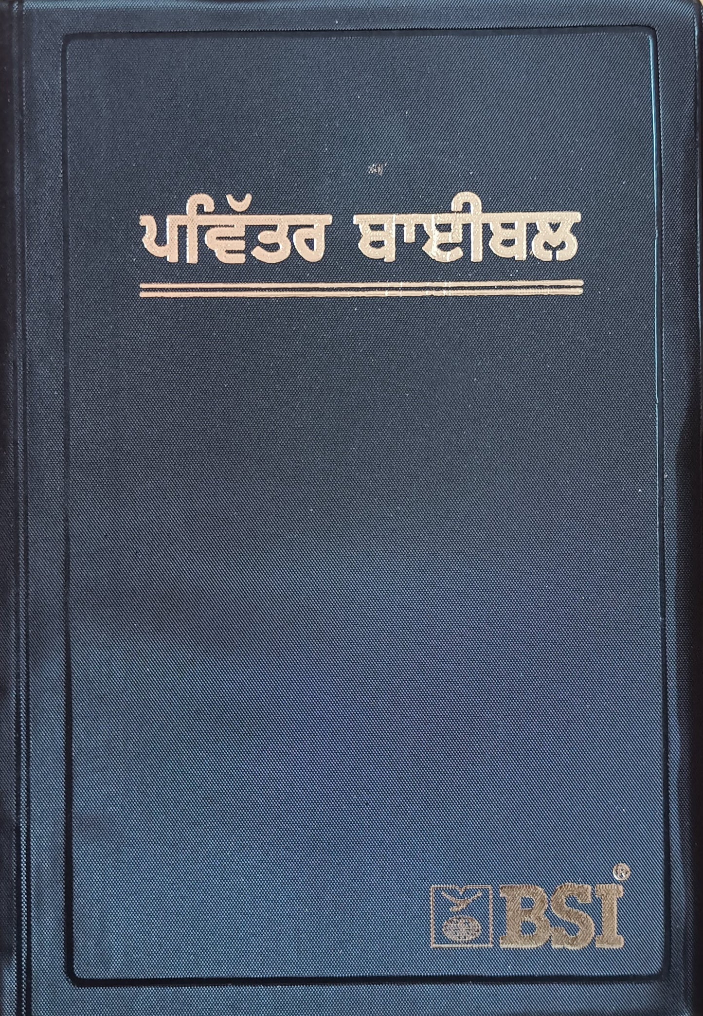 PUNJABI BIBLE