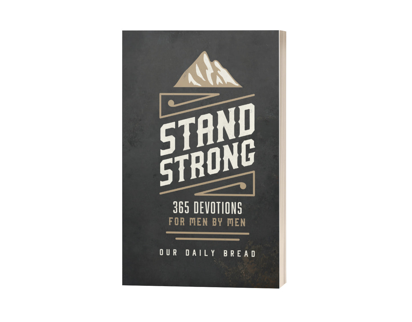Stand Strong: 365 Devotions for Men by Men