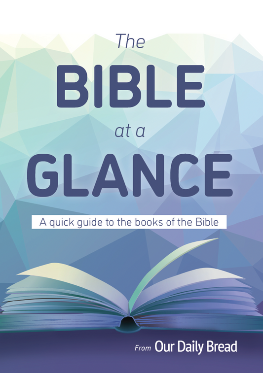 Bible at a Glance [FREE GIFT]