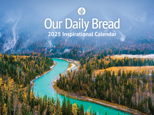 Wall Calendar 2025