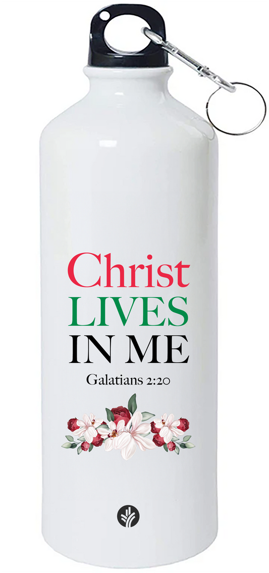 Christ Lives In Me