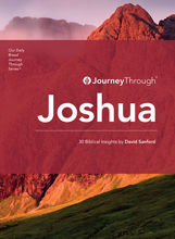 Load image into Gallery viewer, Joshua, Judges, Ruth, Job - Set of 4
