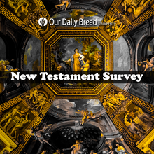 Load image into Gallery viewer, New Testament Survey
