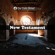 Load image into Gallery viewer, New Testament
