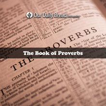 Load image into Gallery viewer, The Book of Proverbs
