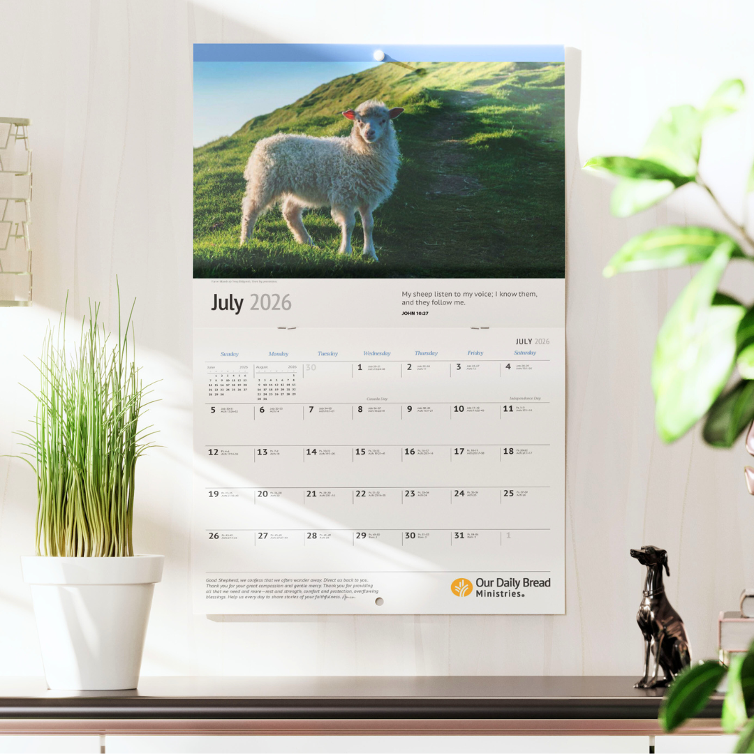 Wall Calendar 2026
