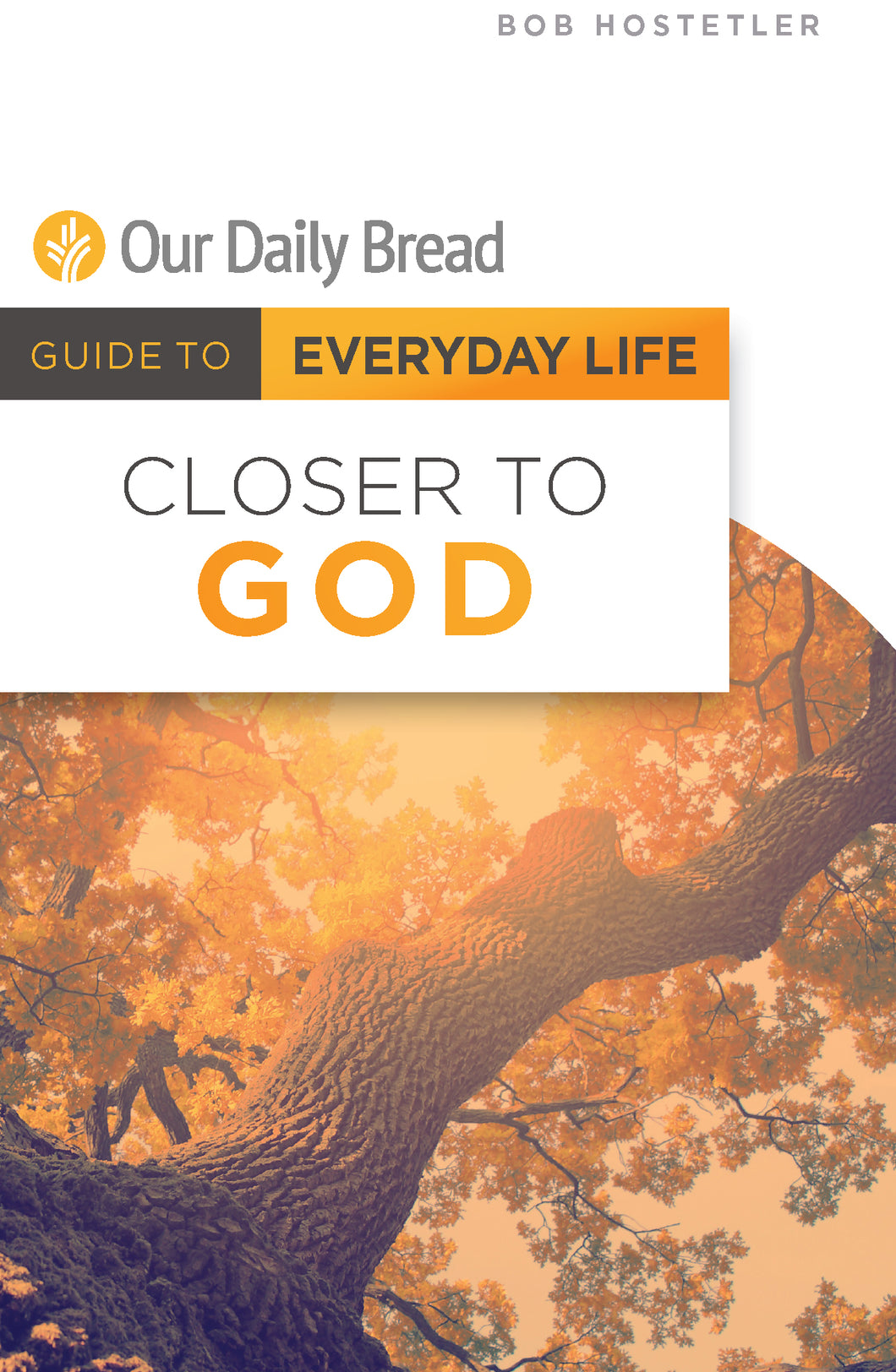 Closer to God [E-book]