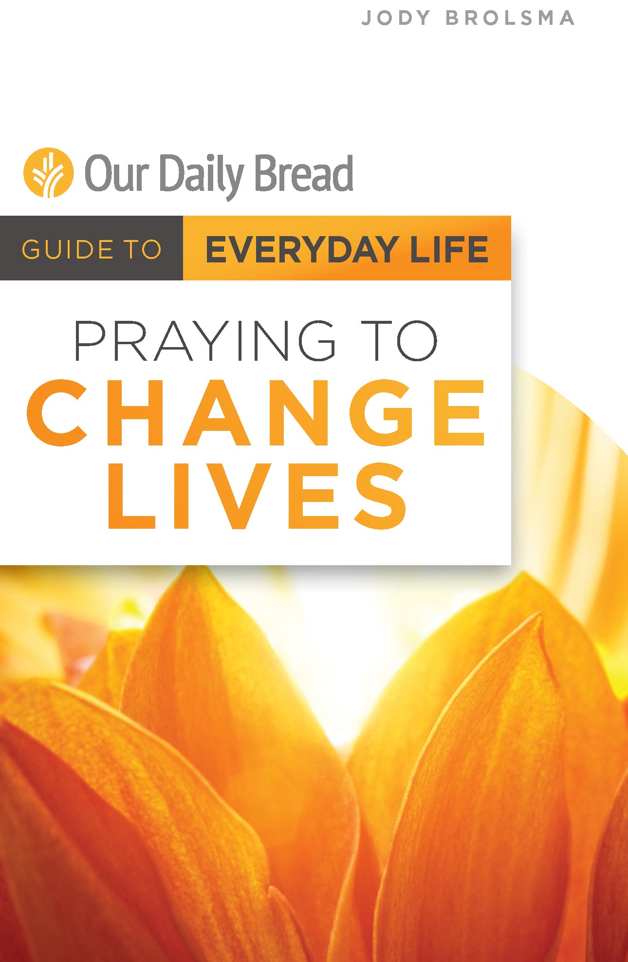 Praying to Change Lives [E-book]