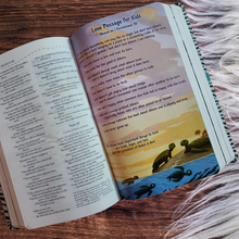 Load image into Gallery viewer, NIV ADVENTURE BIBLE
